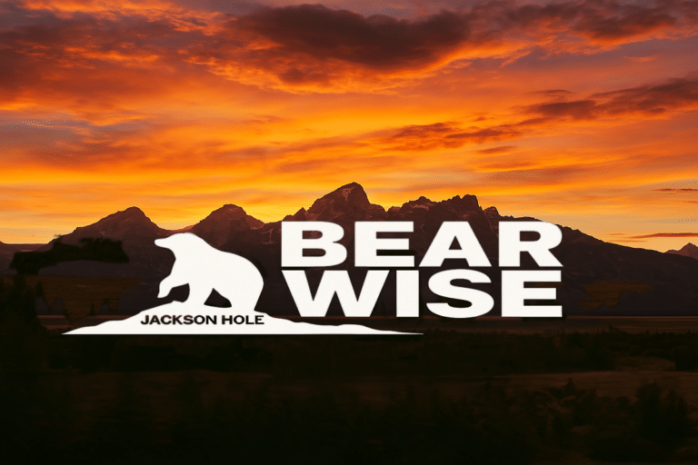 Bear Safety Tips Jackson Hole