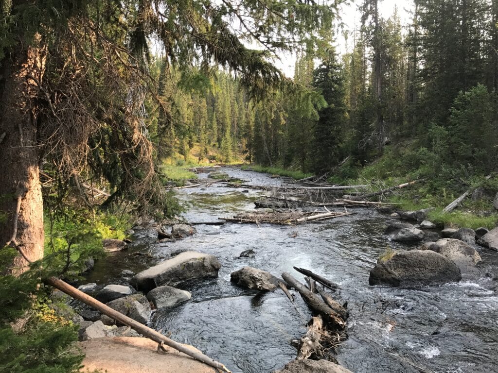 Hiking Jackson Hole
