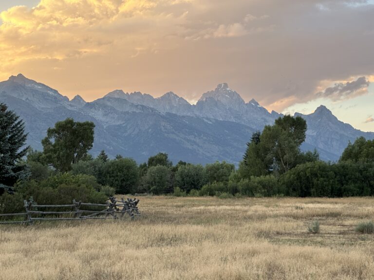 Jackson, WY Real Estate