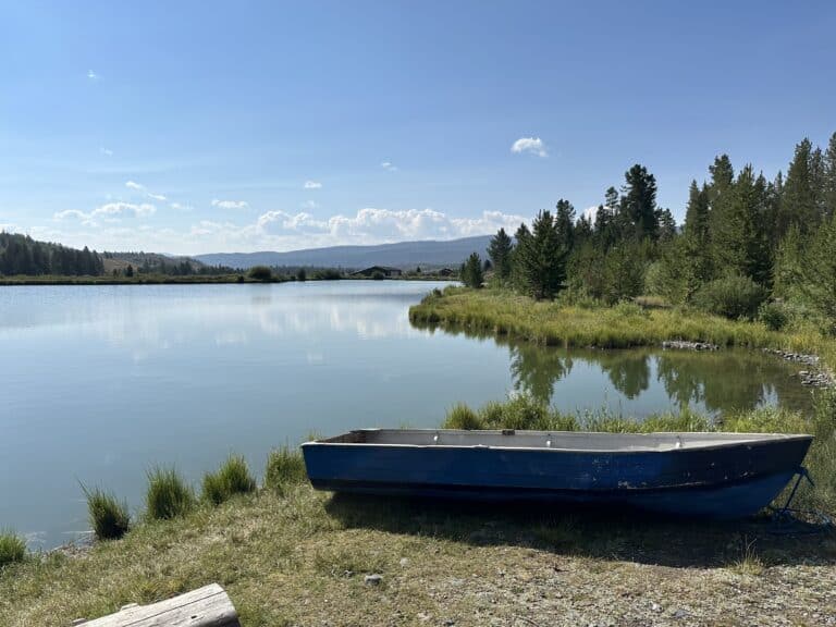 Fly Fishing Jackson Hole