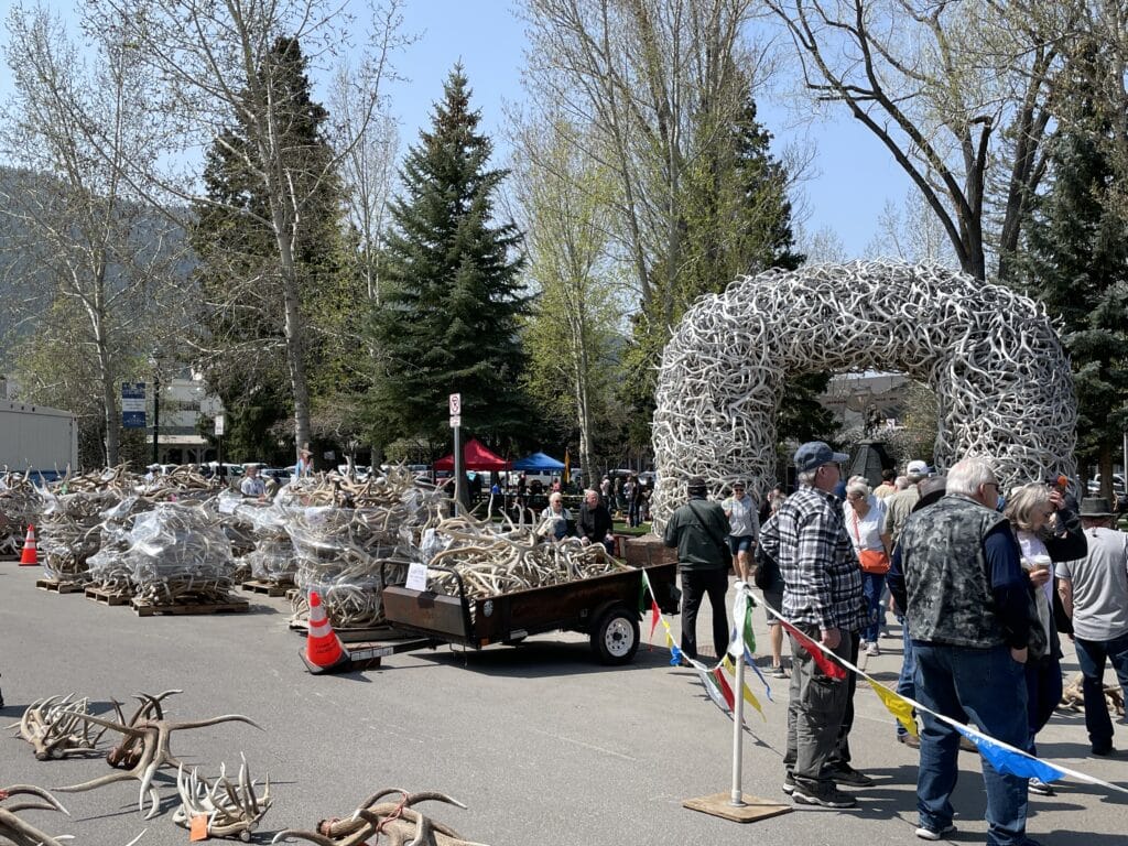 Elk Fest 2025