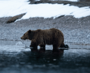 Allieroams Instagram