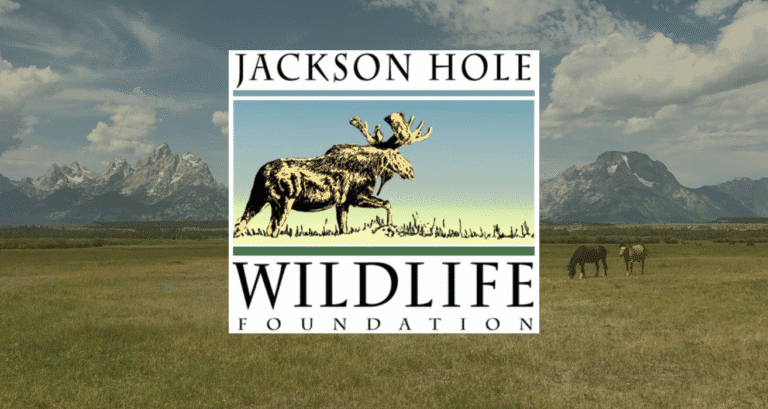 Jackson Hole Wild Life Foundaton