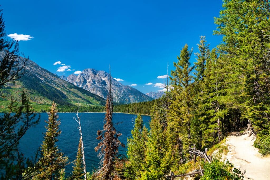 Jenny Lake