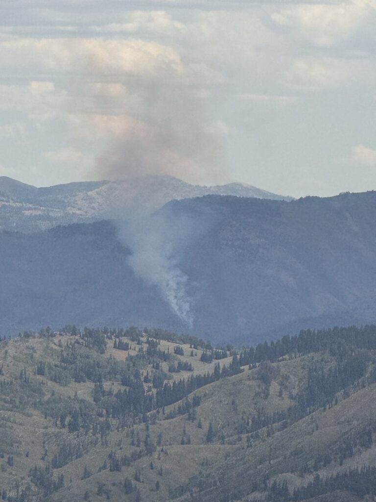 Little Greys Fire Wyoming