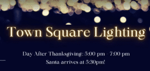 Jackson WY Town Square Lighting